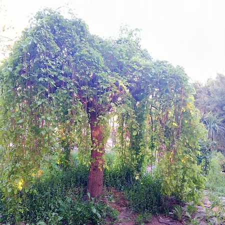 Villa Casa Con Jardin Y Aparcamiento En Viznar, Junto A Granada Esterno foto