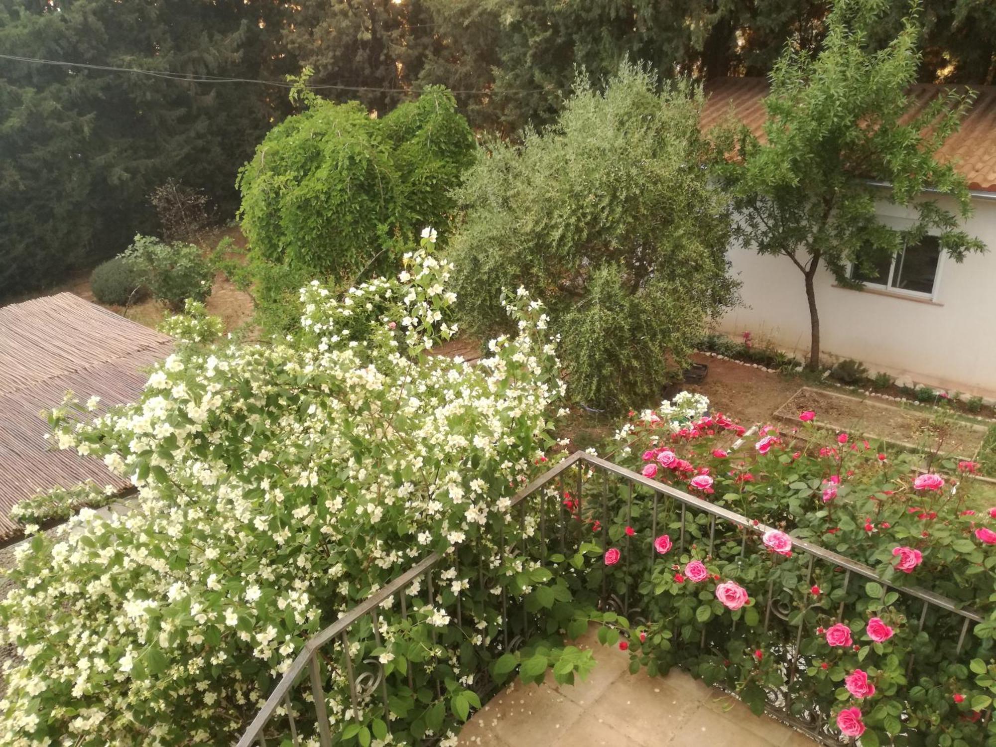 Villa Casa Con Jardin Y Aparcamiento En Viznar, Junto A Granada Esterno foto