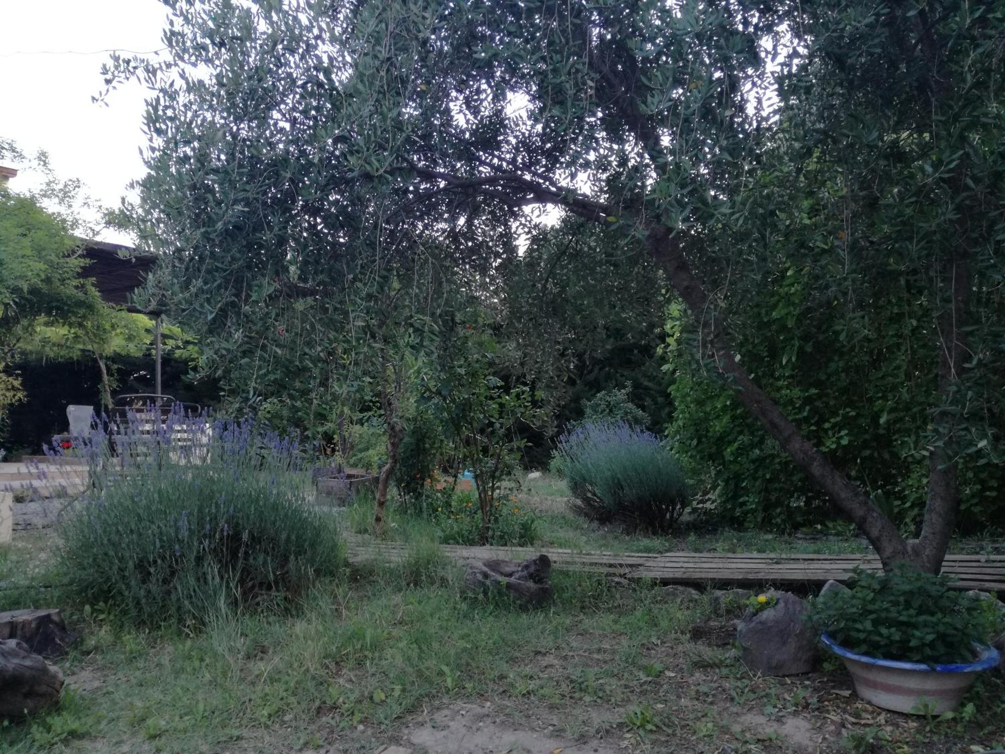Villa Casa Con Jardin Y Aparcamiento En Viznar, Junto A Granada Esterno foto