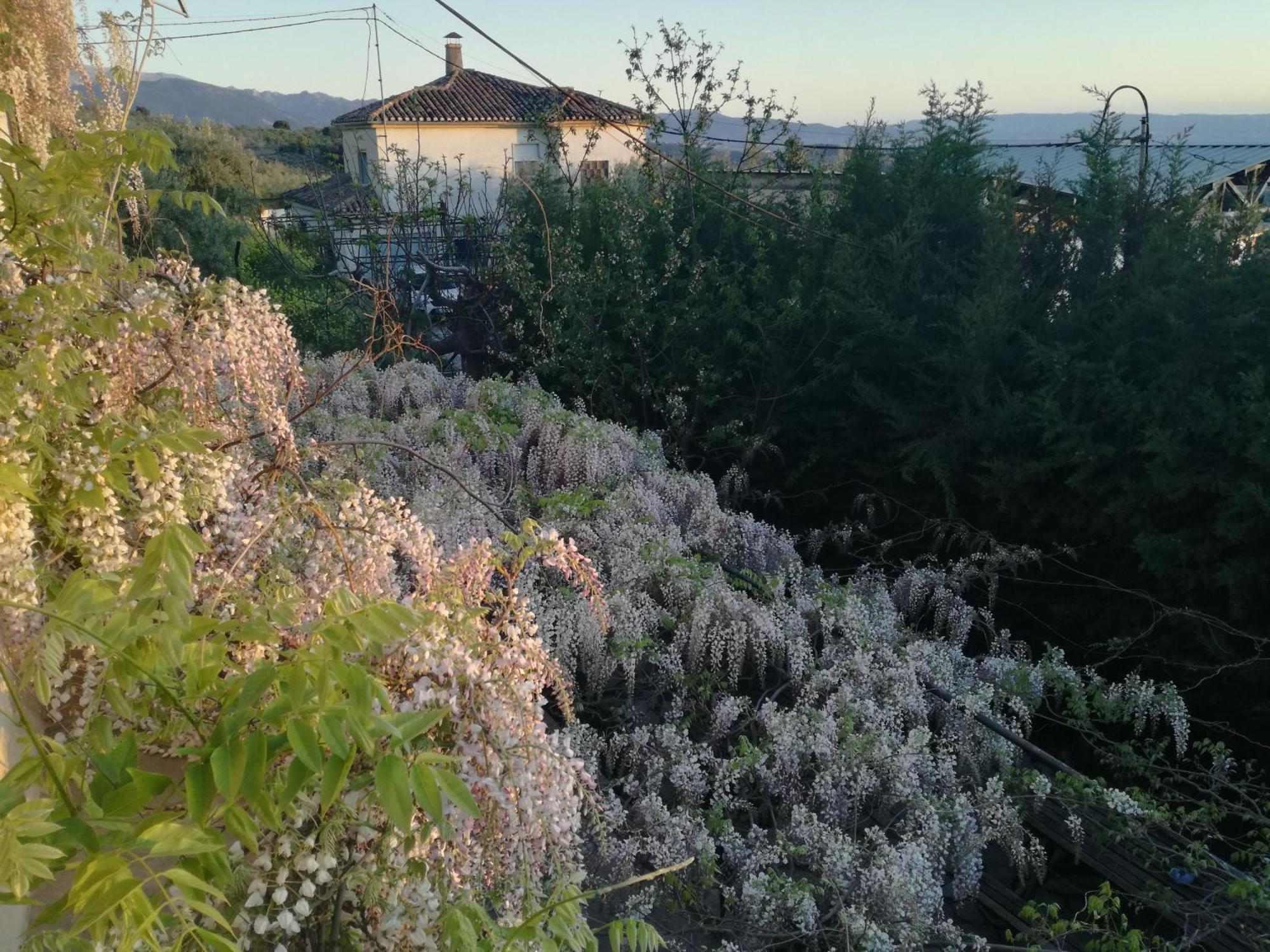 Villa Casa Con Jardin Y Aparcamiento En Viznar, Junto A Granada Esterno foto