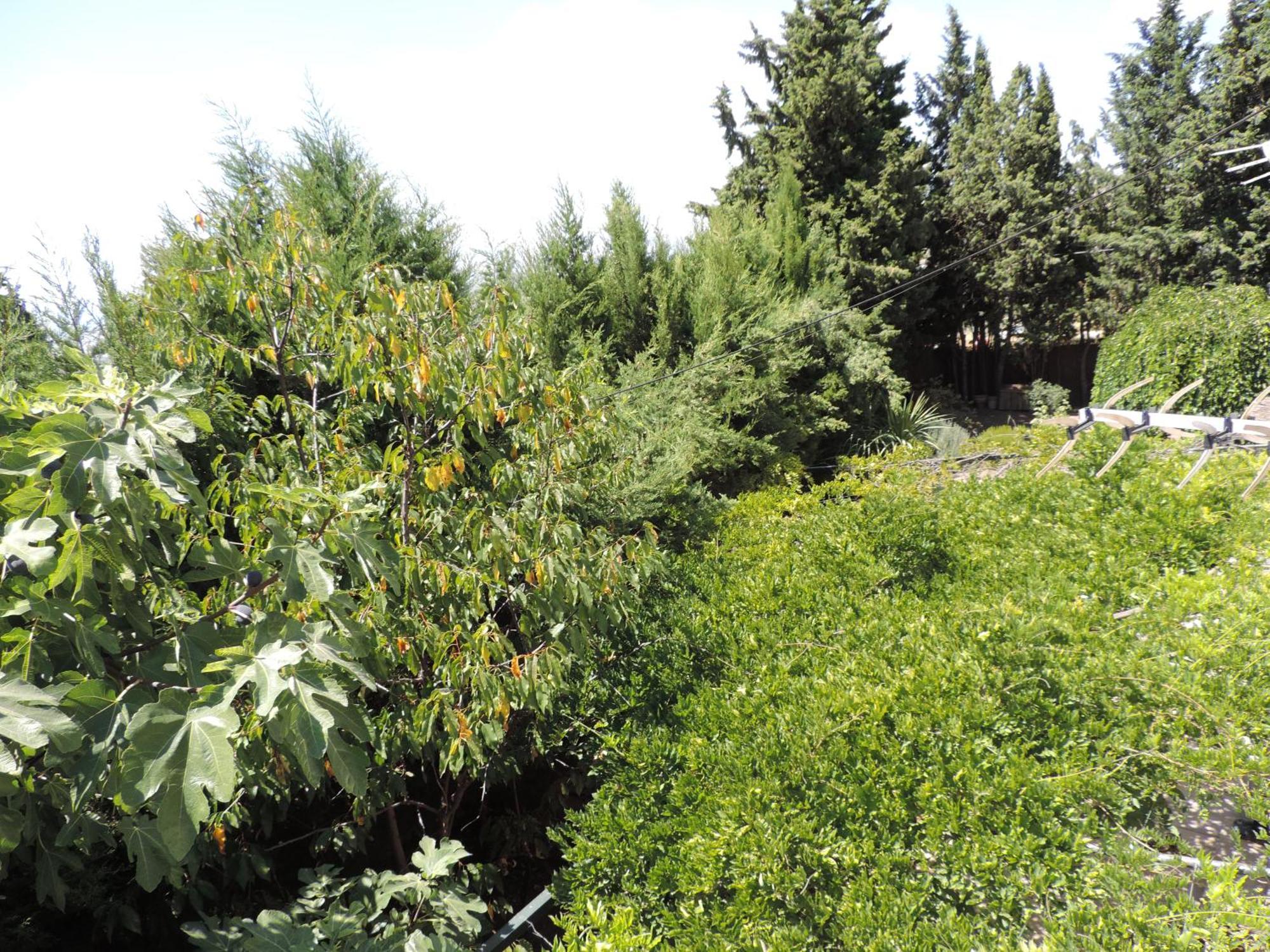 Villa Casa Con Jardin Y Aparcamiento En Viznar, Junto A Granada Esterno foto